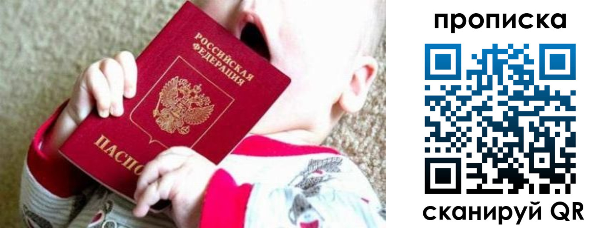 прописка законно в Кингисеппе